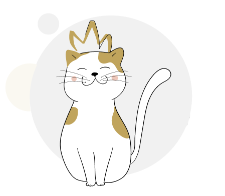 Booking cat